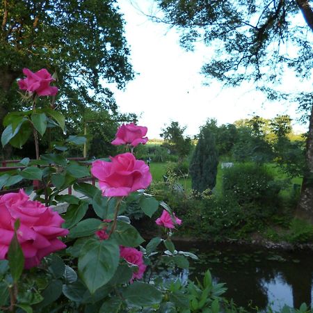 Bed and Breakfast Le Moulin Du Bignon Lassy Exterior foto