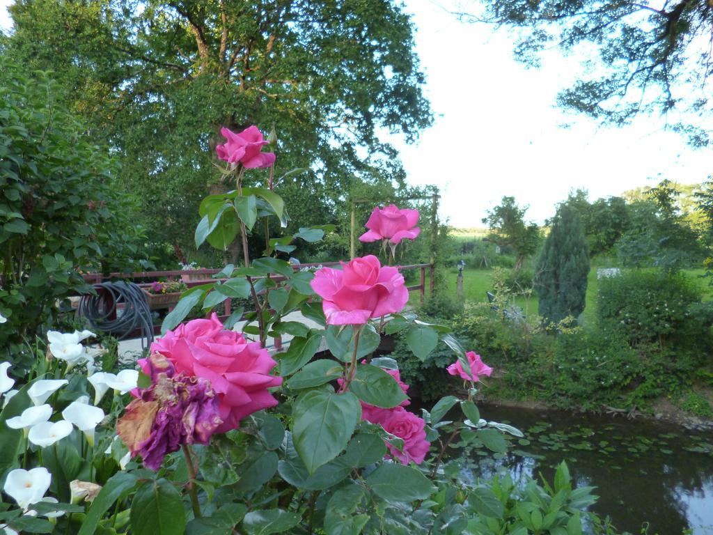 Bed and Breakfast Le Moulin Du Bignon Lassy Exterior foto