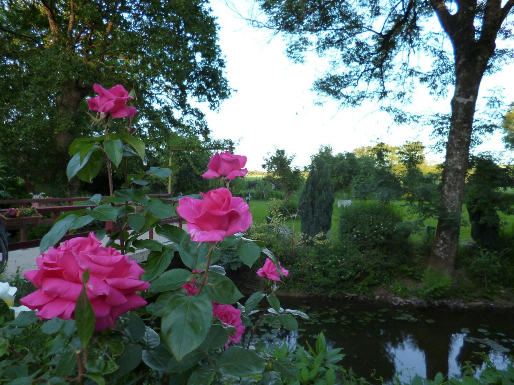 Bed and Breakfast Le Moulin Du Bignon Lassy Exterior foto