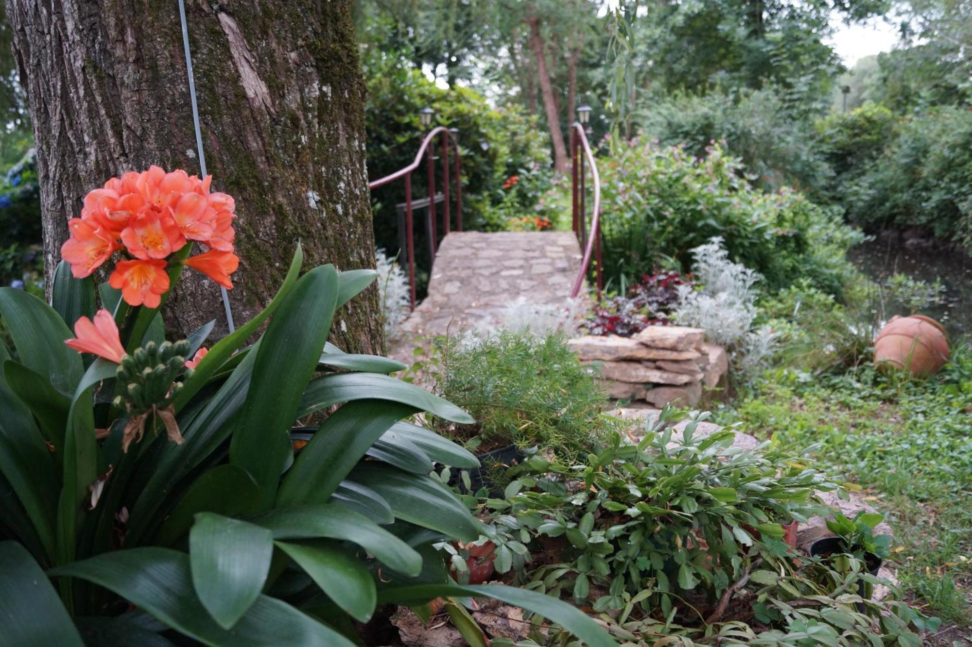 Bed and Breakfast Le Moulin Du Bignon Lassy Exterior foto