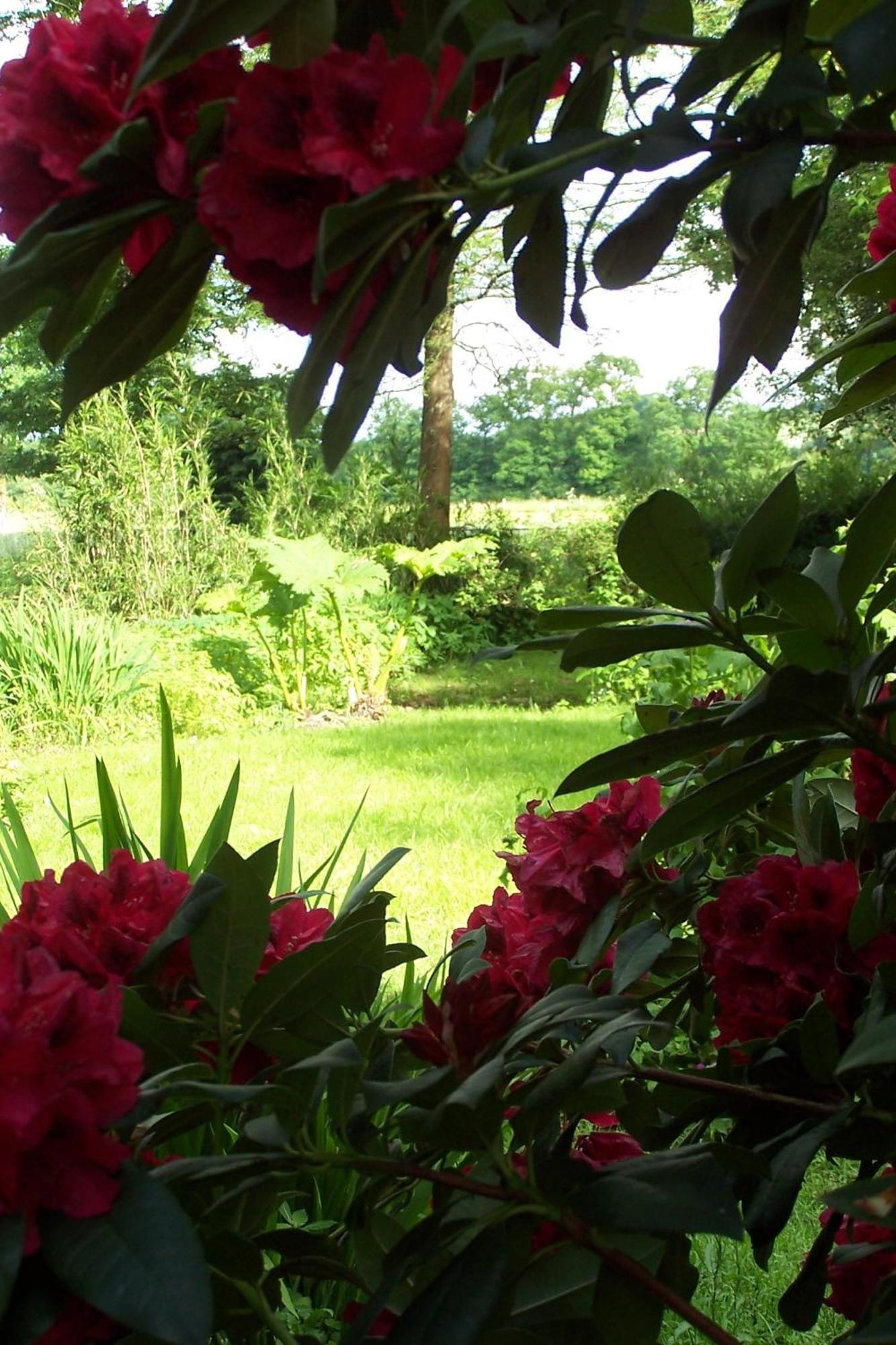 Bed and Breakfast Le Moulin Du Bignon Lassy Exterior foto