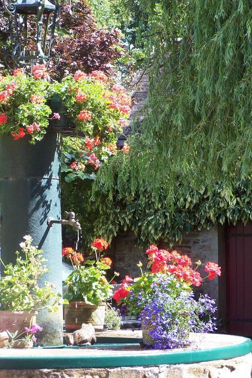Bed and Breakfast Le Moulin Du Bignon Lassy Exterior foto
