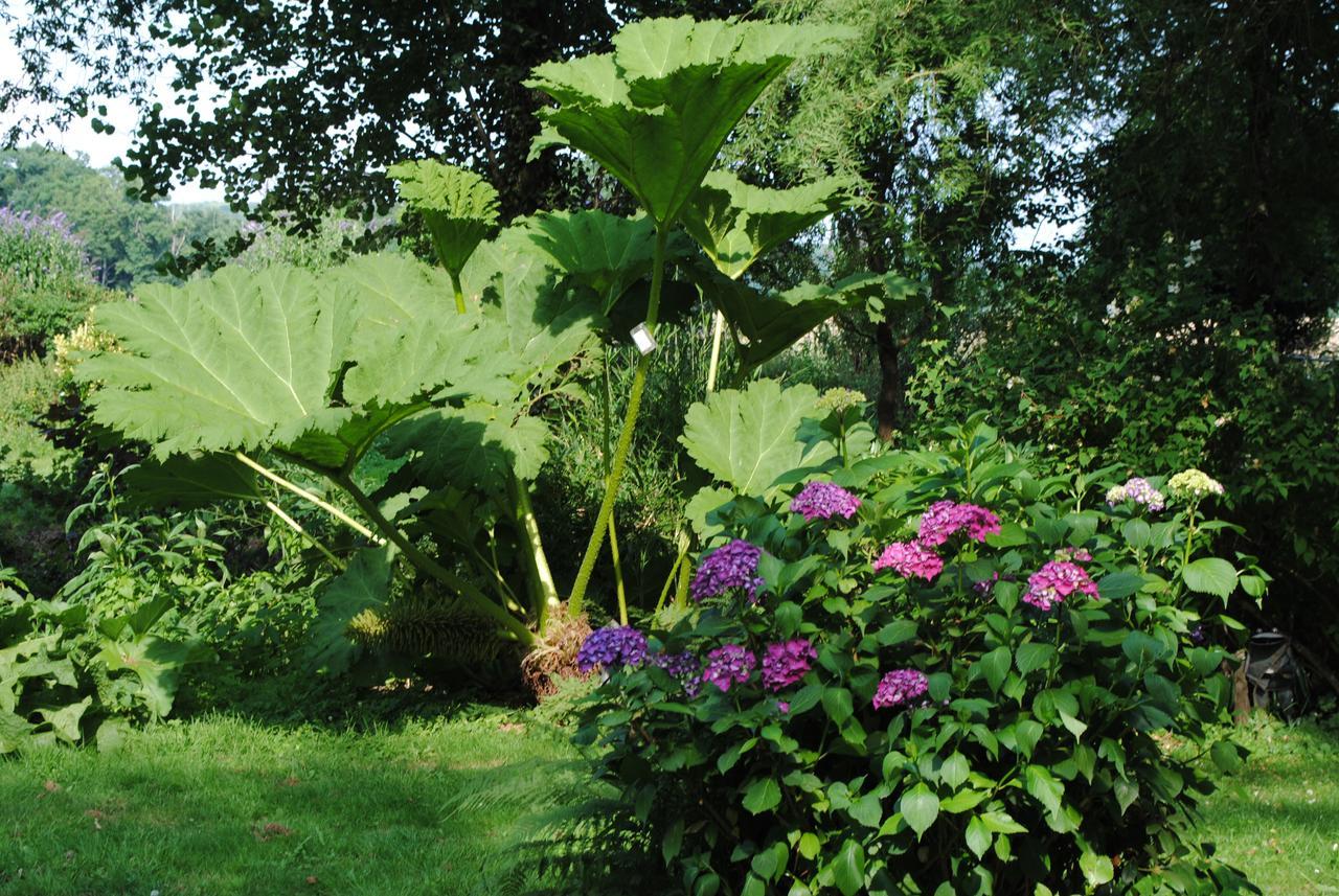 Bed and Breakfast Le Moulin Du Bignon Lassy Exterior foto