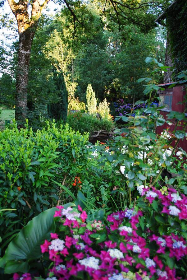 Bed and Breakfast Le Moulin Du Bignon Lassy Exterior foto